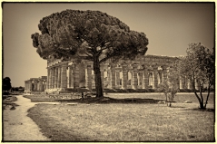 Paestum Temples